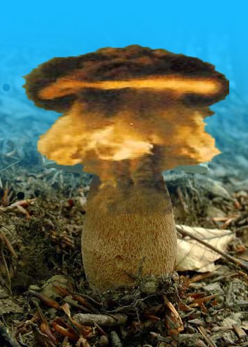 Mushroomcloud cloudmushroom